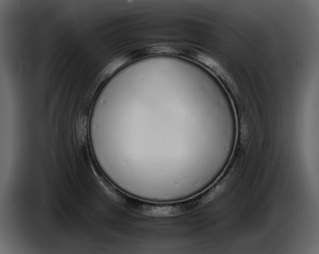 X0000086911233200705071257