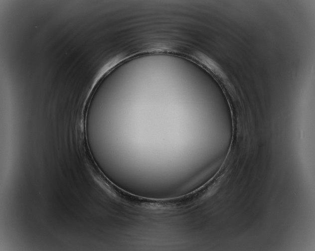 X0000086911234200705071257