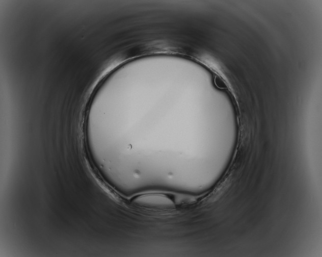 X0000086911235200705071257