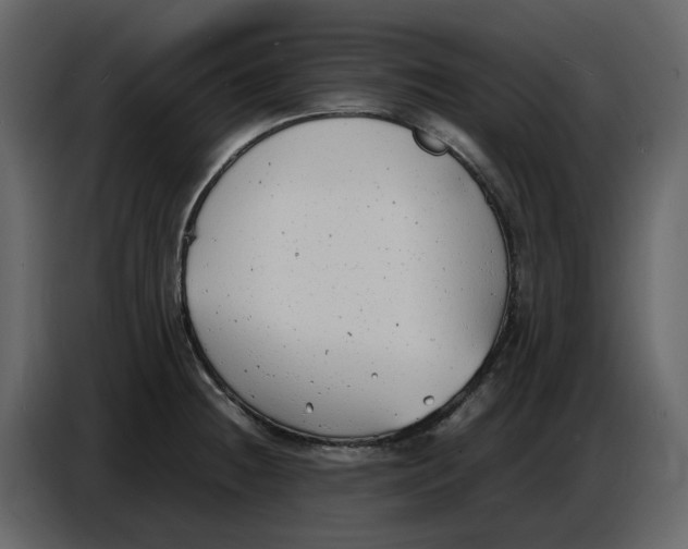 X0000086911236200705071257