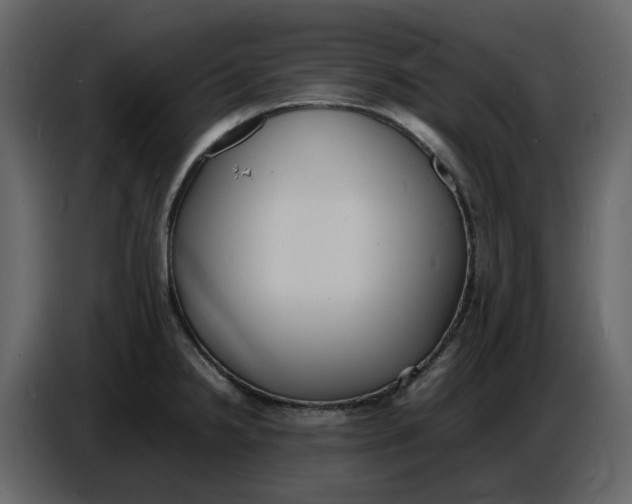 X0000086911238200705071257