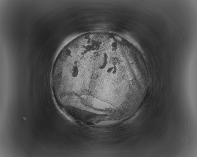 X0000086911239200705071257