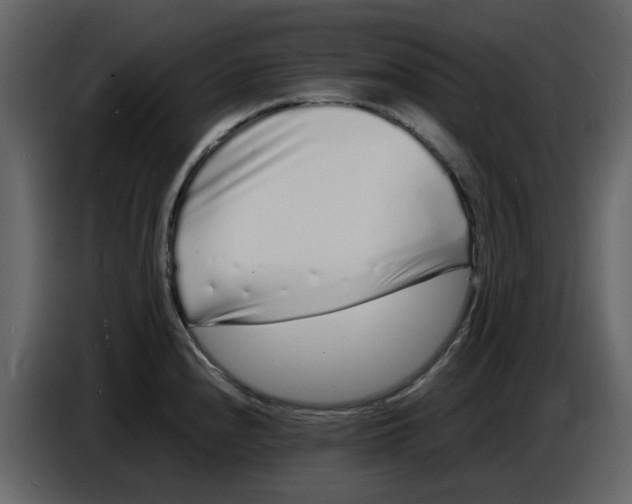 X0000086911240200705071257