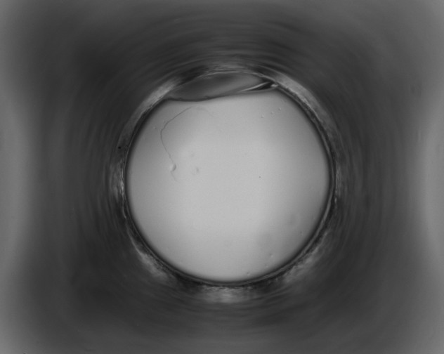 X0000086911241200705071257