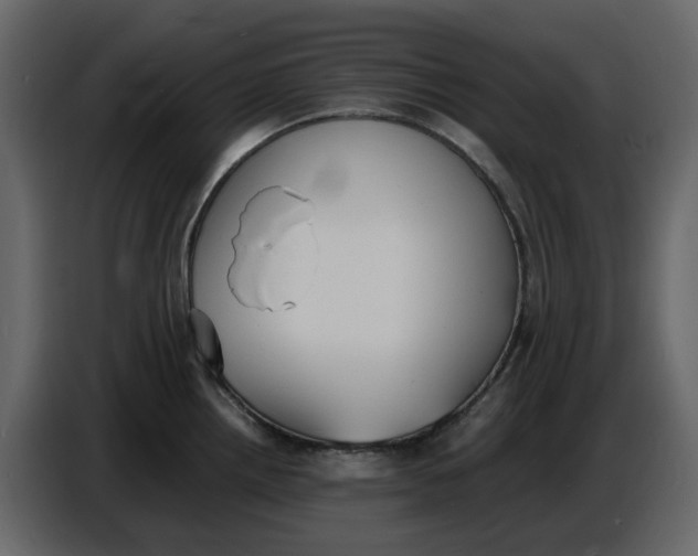 X0000086911242200705071257