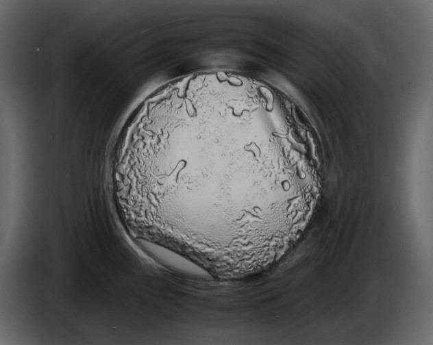 X0000086911243200705071257