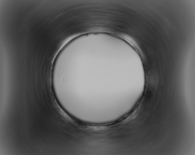 X0000086911244200705071257