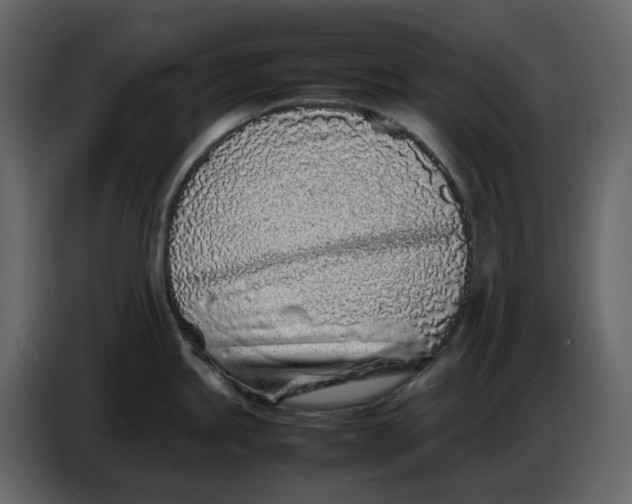 X0000086911245200705071257