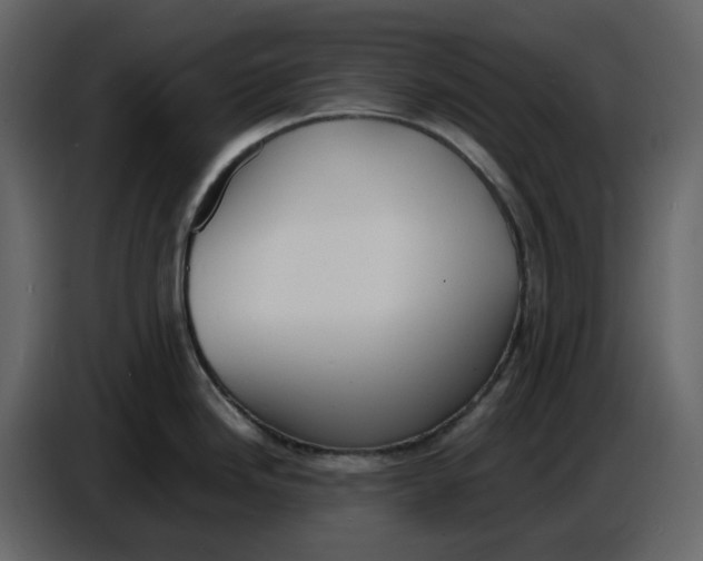 X0000086911246200705071257