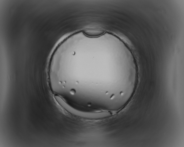 X0000086911248200705071257