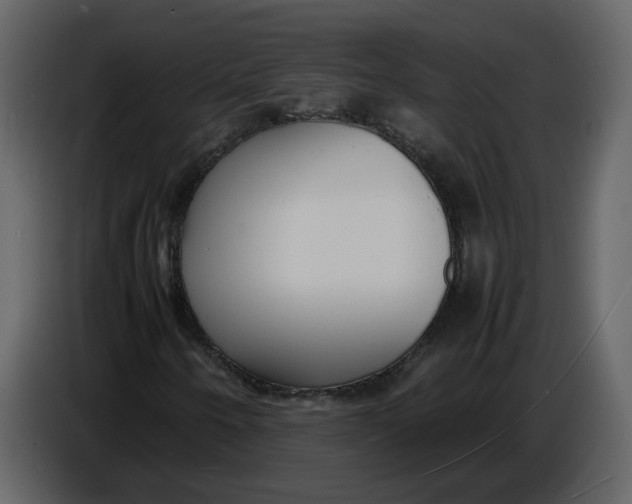 X0000086911250200705071257