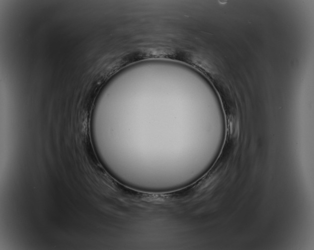 X0000086911251200705071256