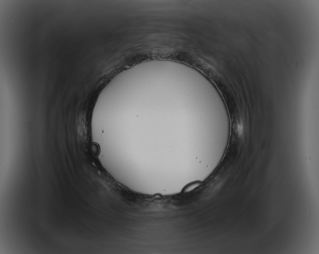 X0000086911252200705071256