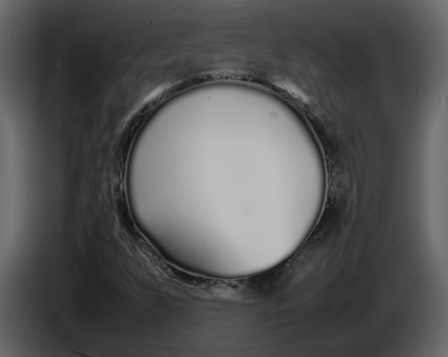 X0000086911255200705071256