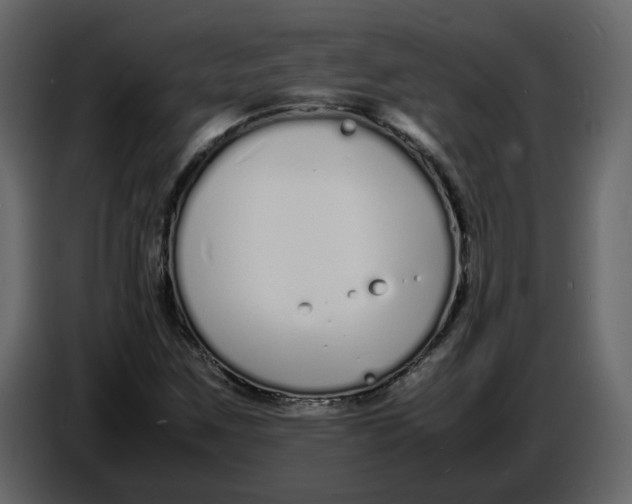 X0000086911259200705071256