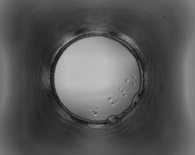 X0000086911260200705071256