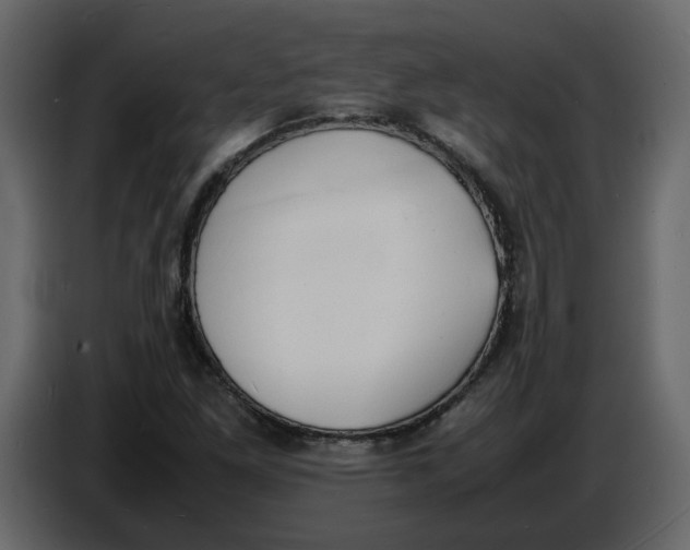 X0000086911261200705071256