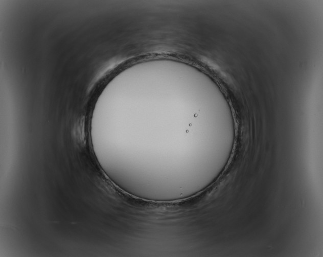 X0000086911262200705071256