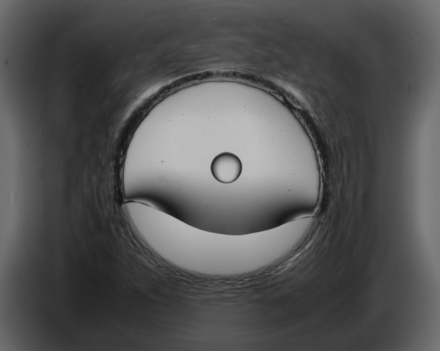 X0000086911263200705071256