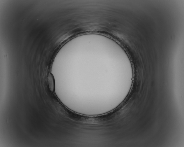 X0000086911265200705071256