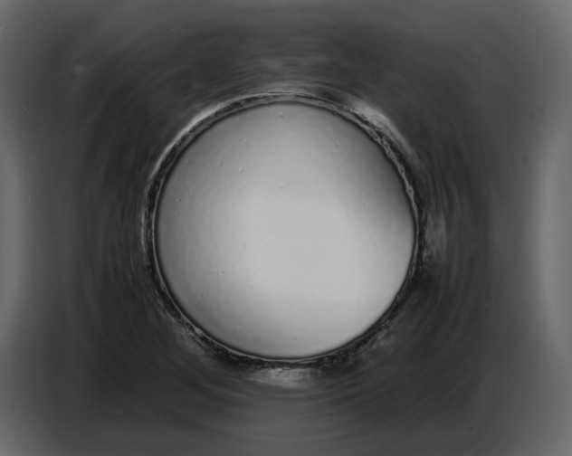 X0000086911268200705071256