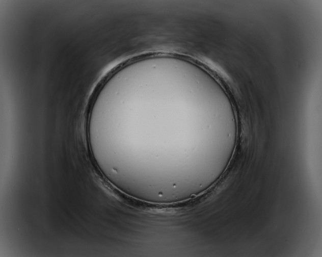 X0000086911272200705071256