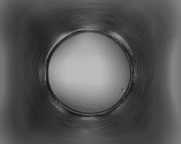 X0000086911276200705071256