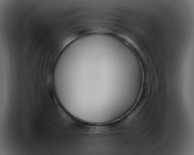 X0000086911281200705071256