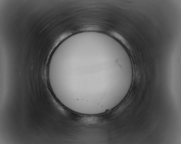 X0000086911282200705071256