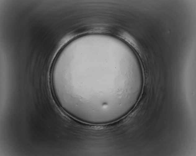 X0000086911283200705071256