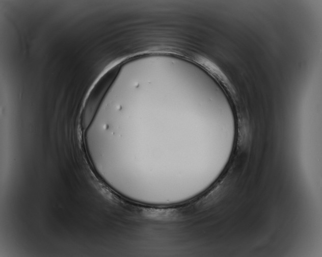 X0000086911284200705071256