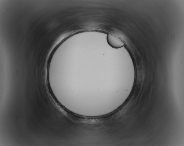 X0000086911286200705071256