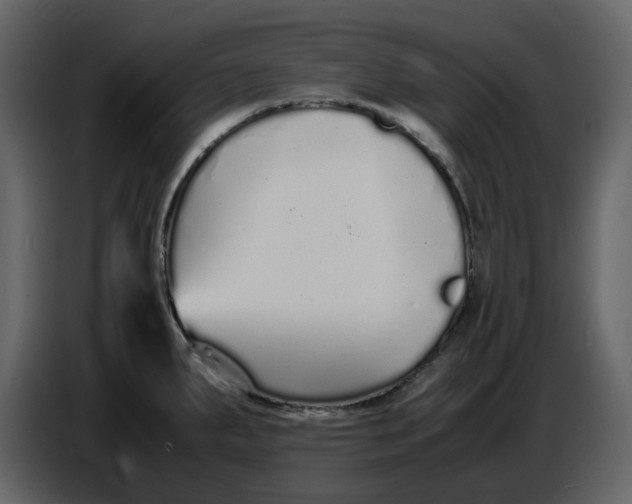 X0000086911287200705071256