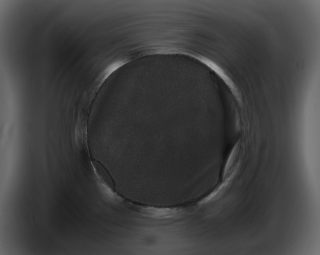 X0000086911289200705071256