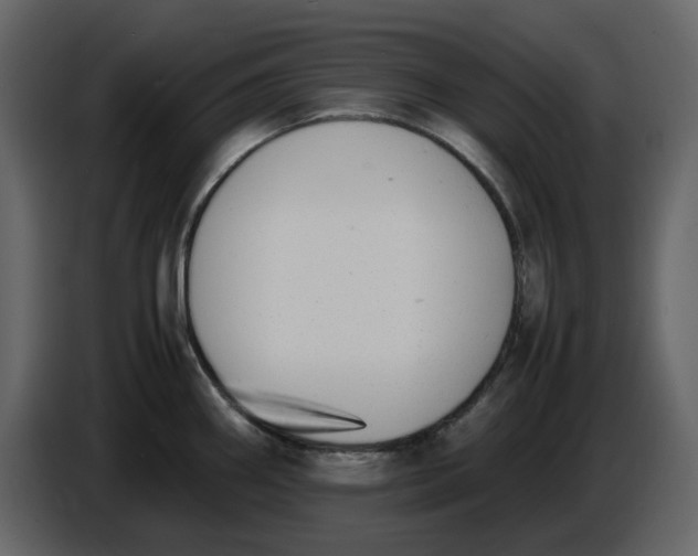 X0000086911290200705071256