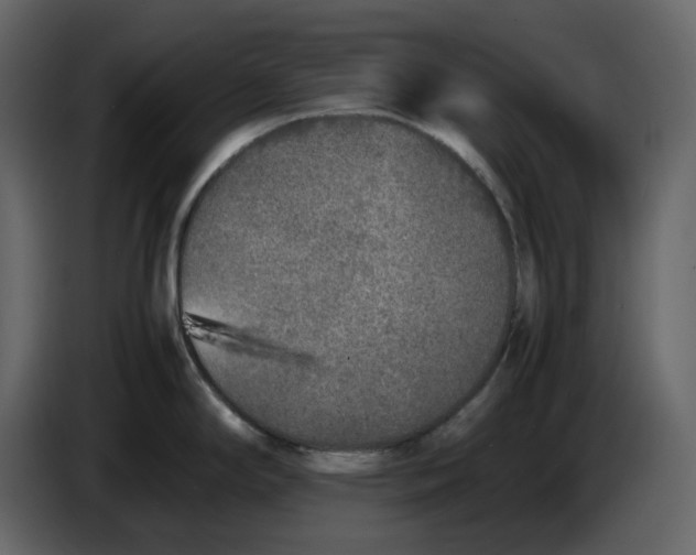 X0000086911294200705071256