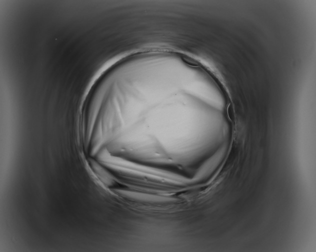 X0000086911295200705071256