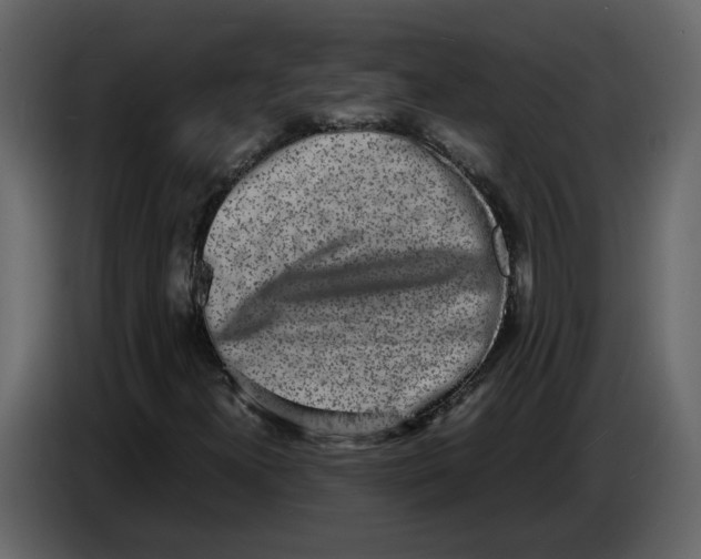 X0000086911300200705071255