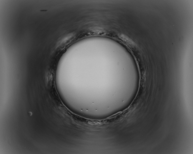 X0000086911302200705071255