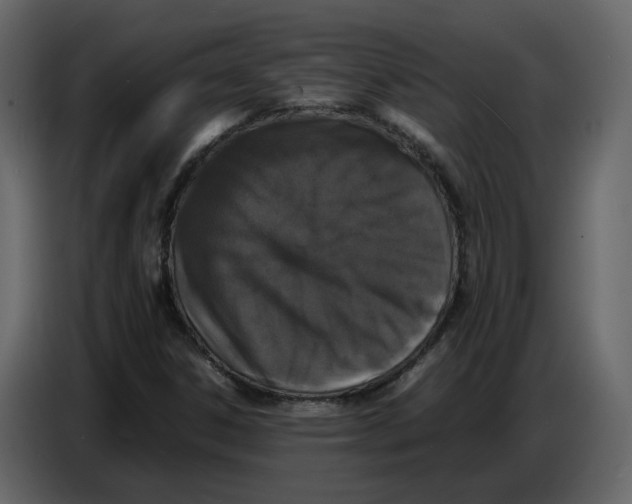 X0000086911306200705071255