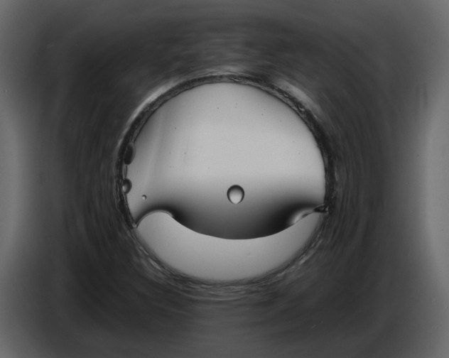 X0000086911308200705071255