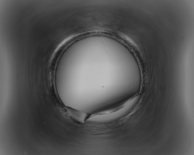 X0000086911310200705071255