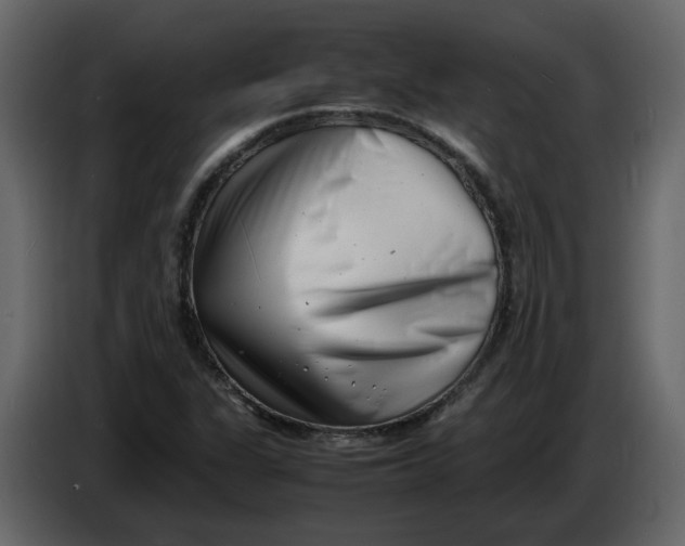 X0000086911311200705071255