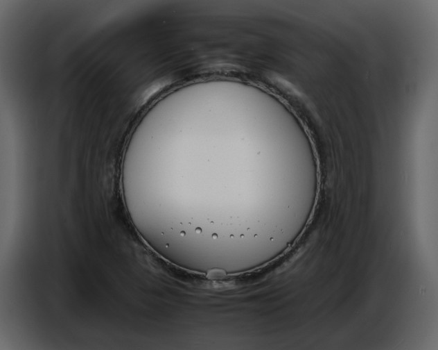 X0000086911313200705071255