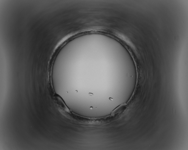 X0000086911316200705071256