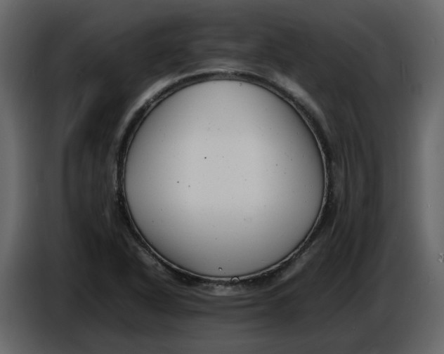 X0000086911318200705071256