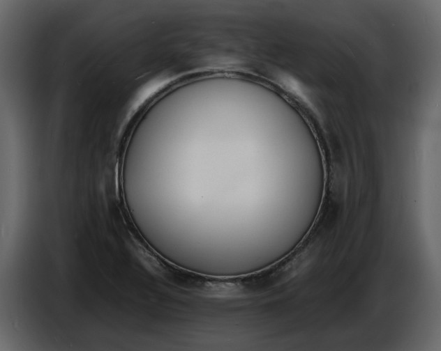 X0000086911320200705071256