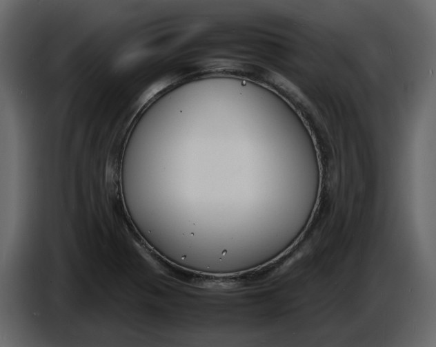 X0000086911321200705071256