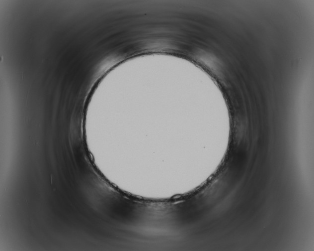 X0000086911322200705071256