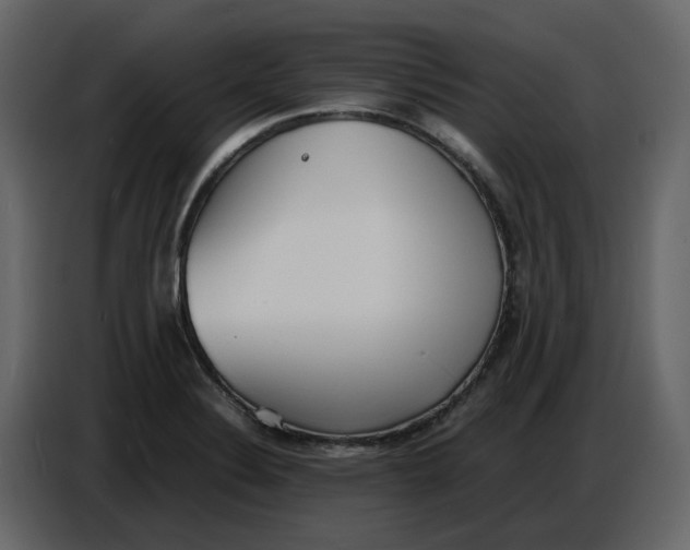 X0000086911324200705071256